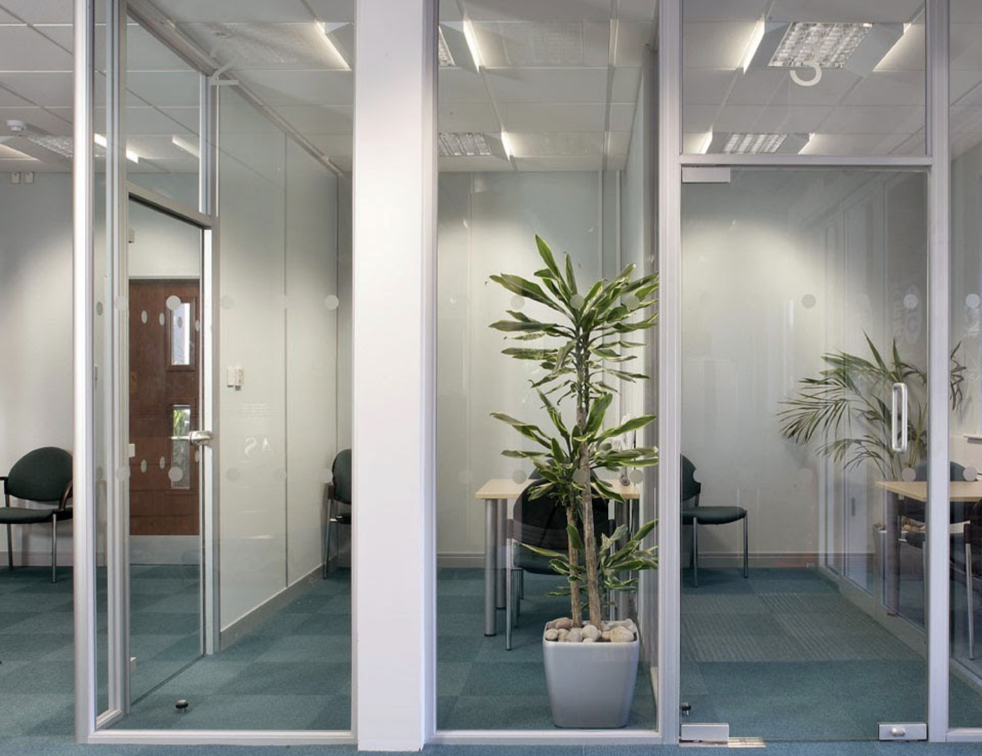 Pivot frameless swing doors create a beautiful office door design